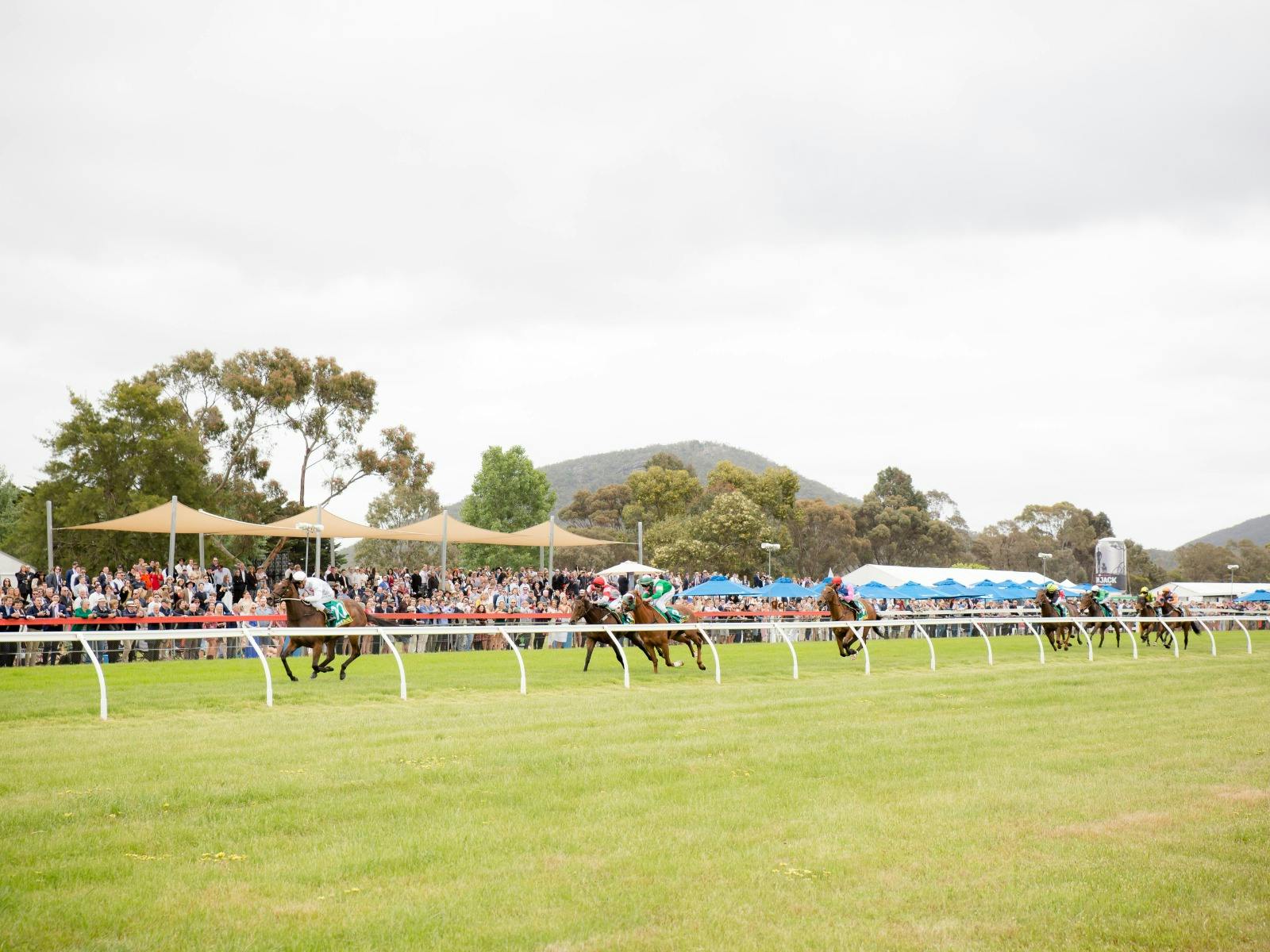 Koonara Wines - Platinum Marquee at Dunkeld Cup