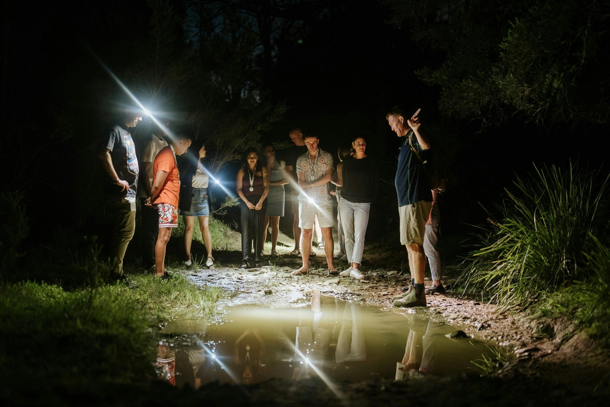 Looking for nocturnal animal activity in our creek by torchlight