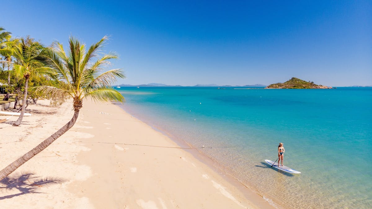 A woman paddle boarding on the calm and clear waters along the white sandy beach near a palm tree