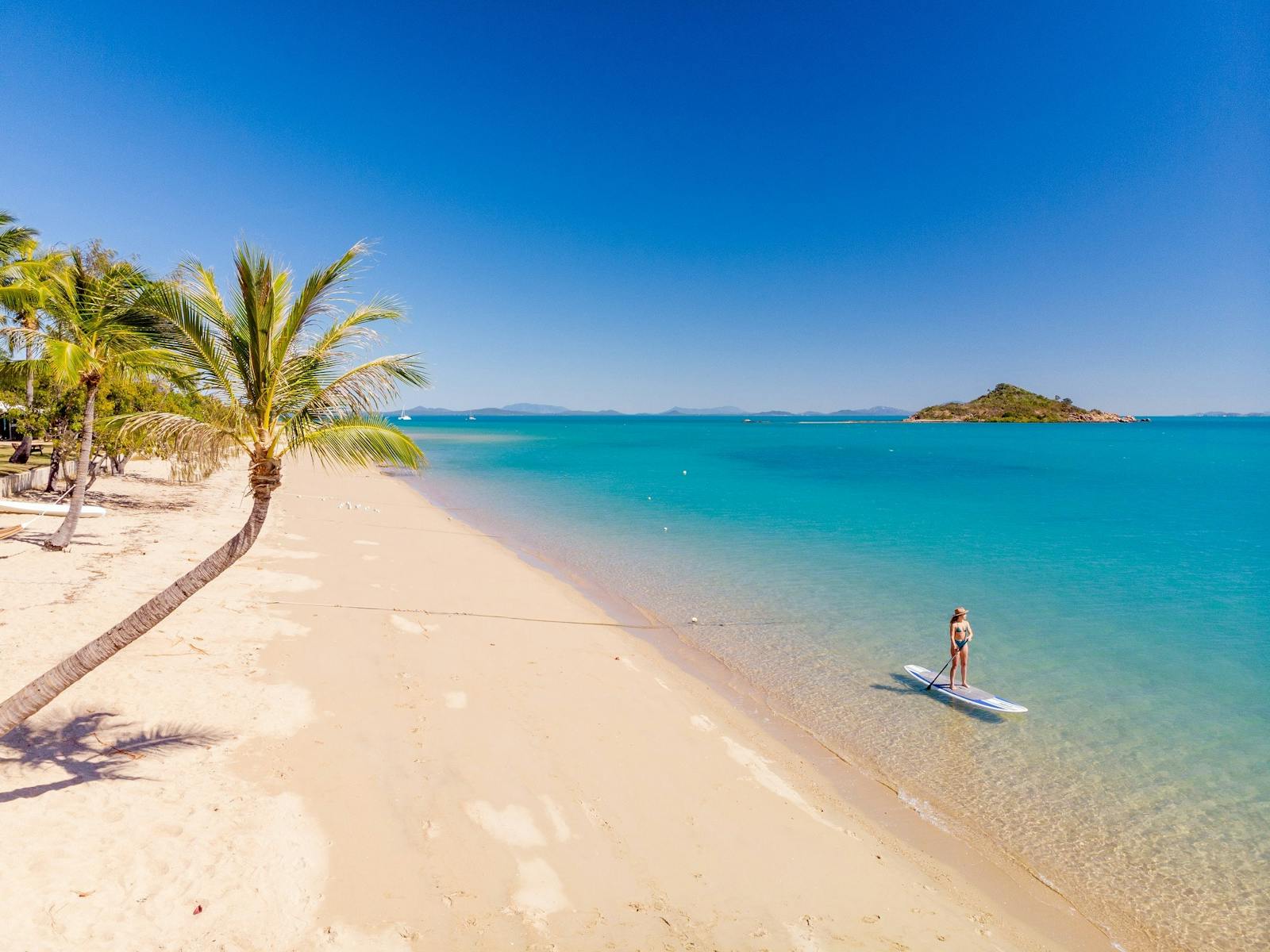 A woman paddle boarding on the calm and clear waters along the white sandy beach near a palm tree A woman paddle boarding on the calm and clear waters along the white sandy beach near a palm tree