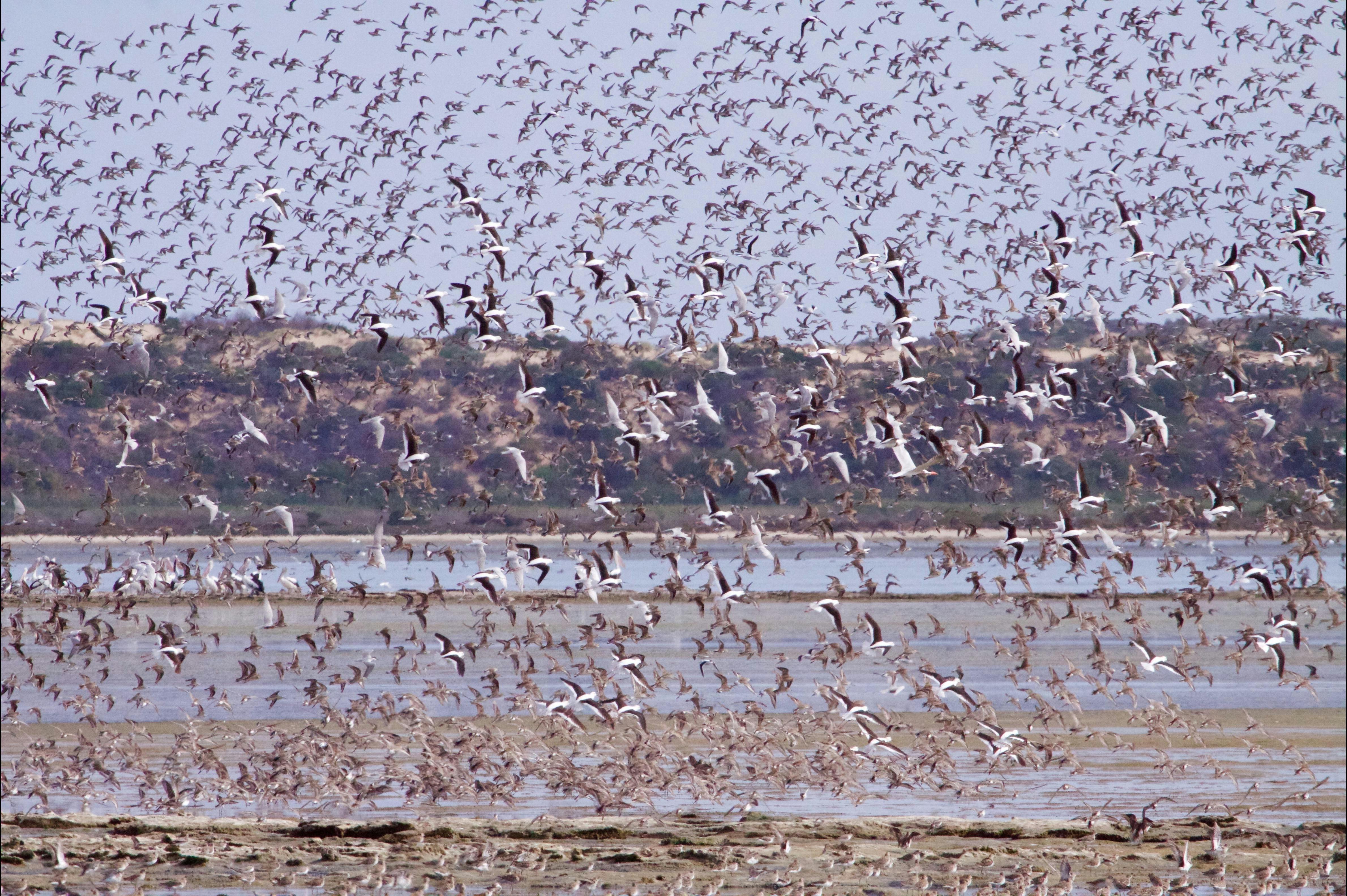 Mundoo Island Station and Coorong Tours