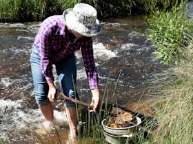Fossicking in Oberon