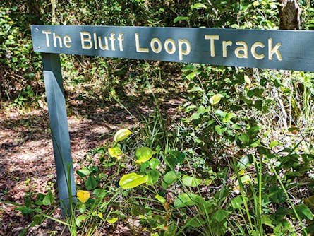 Bluff Loop Walking Track
