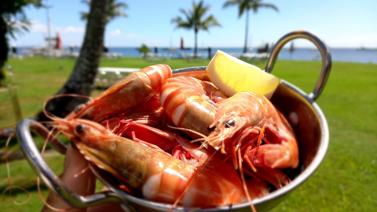 Fresh Prawns at Little Ship Club Fresh Prawns at Little Ship Club
