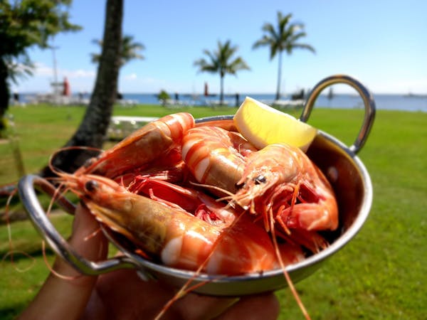Straddie’s biggest Seafood Spectacular returns in 2025