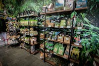 Port Douglas Souvenirs at The Daintree Shop