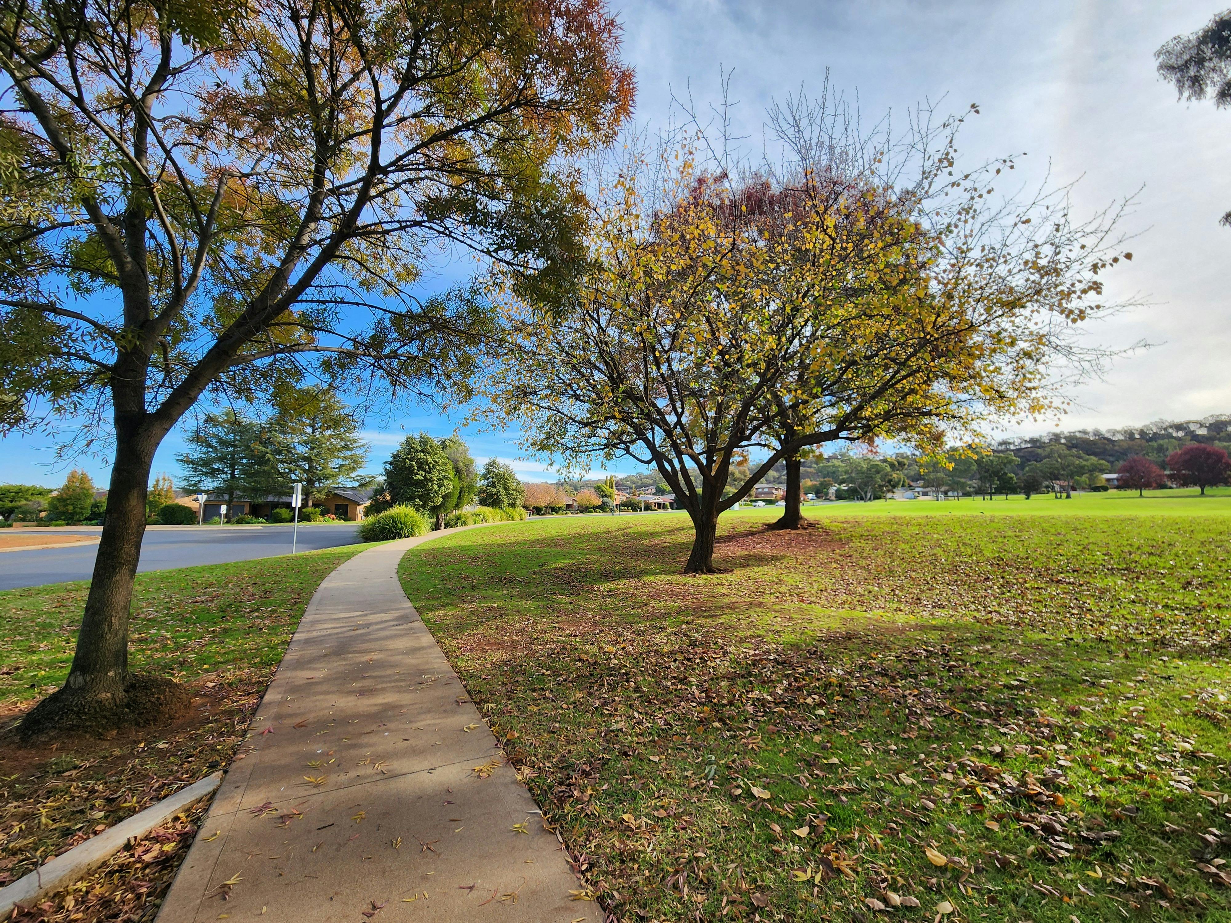 Ted Scobie Oval - Walking Path