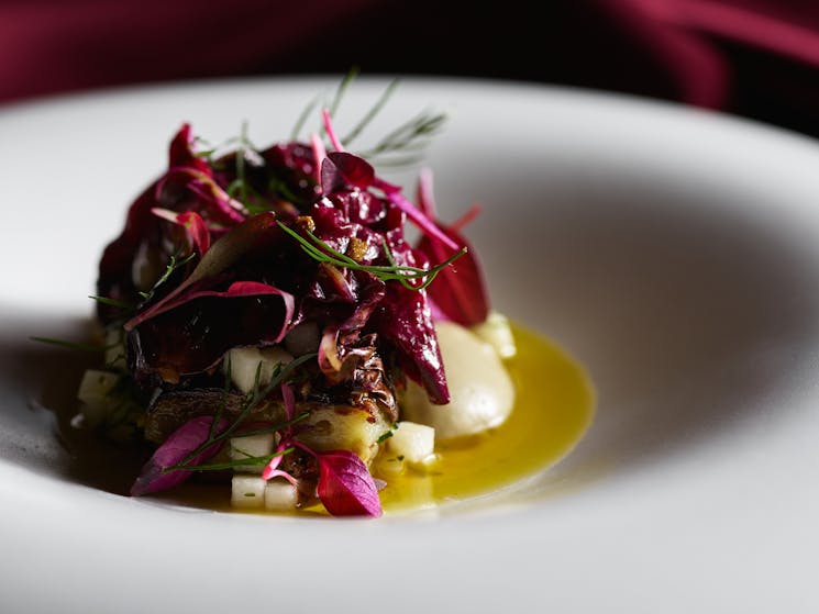 eggplant, radicchio, malfroy's gold honey & toasted seeds