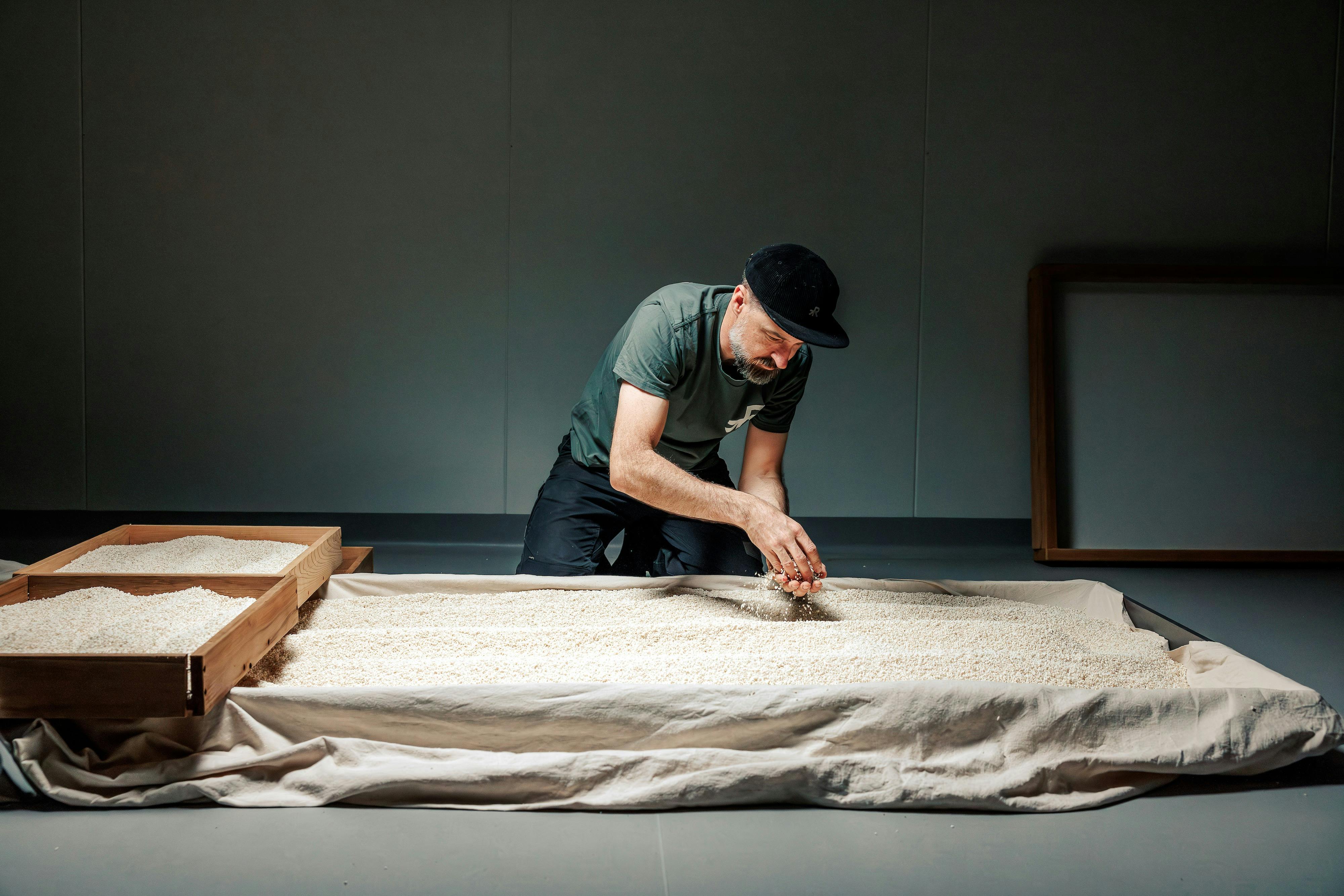 A man in a grey tshirt bends over a table of rice grains.