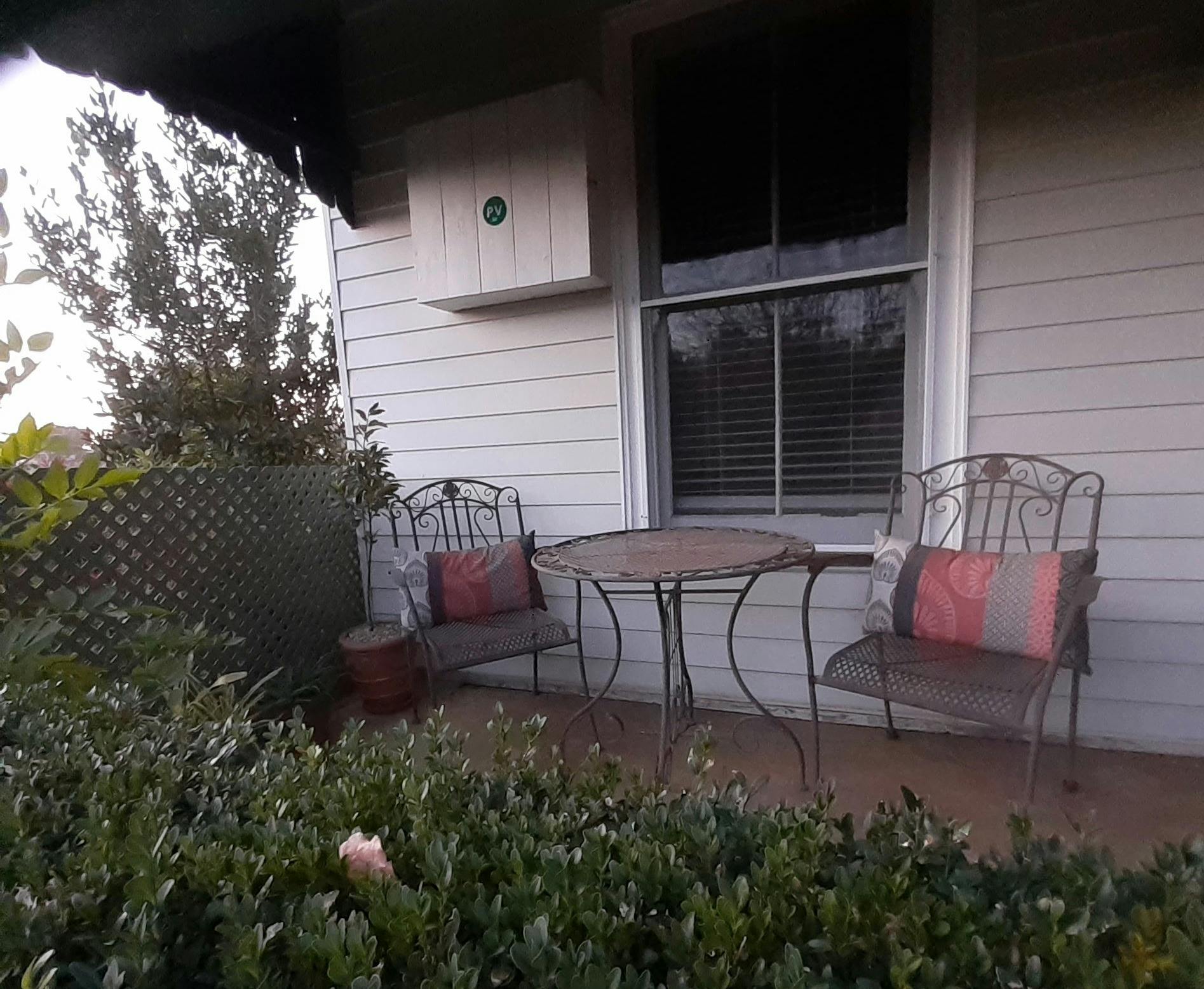Photo of back of house with the almond tree in blossom
