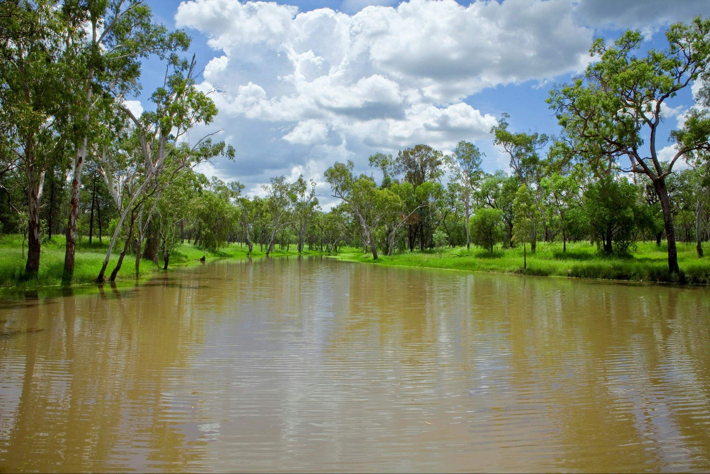 Judds Lagoon - Yuleba, QLD
