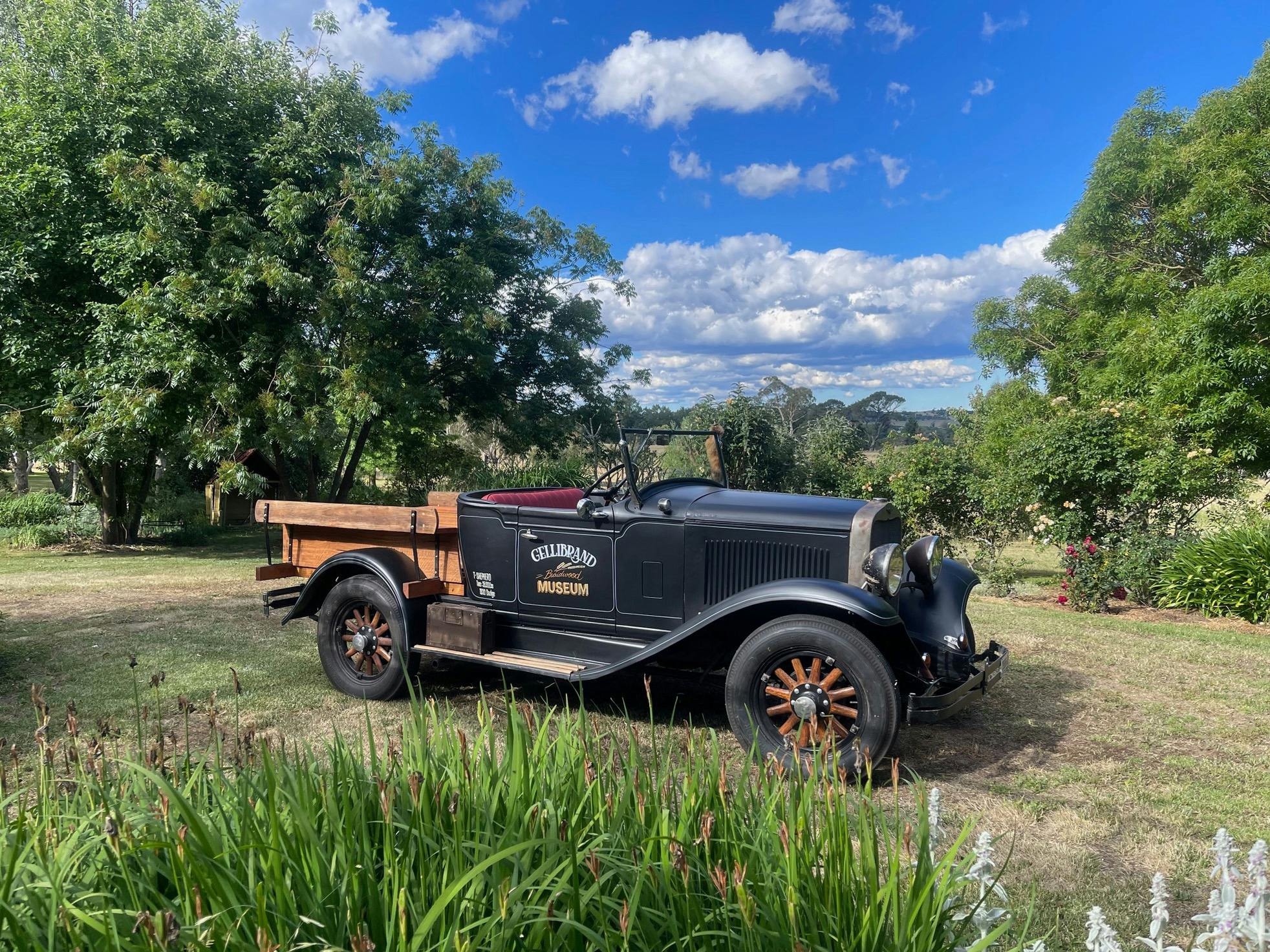 社区银行布雷德伍德幼儿园开放花园