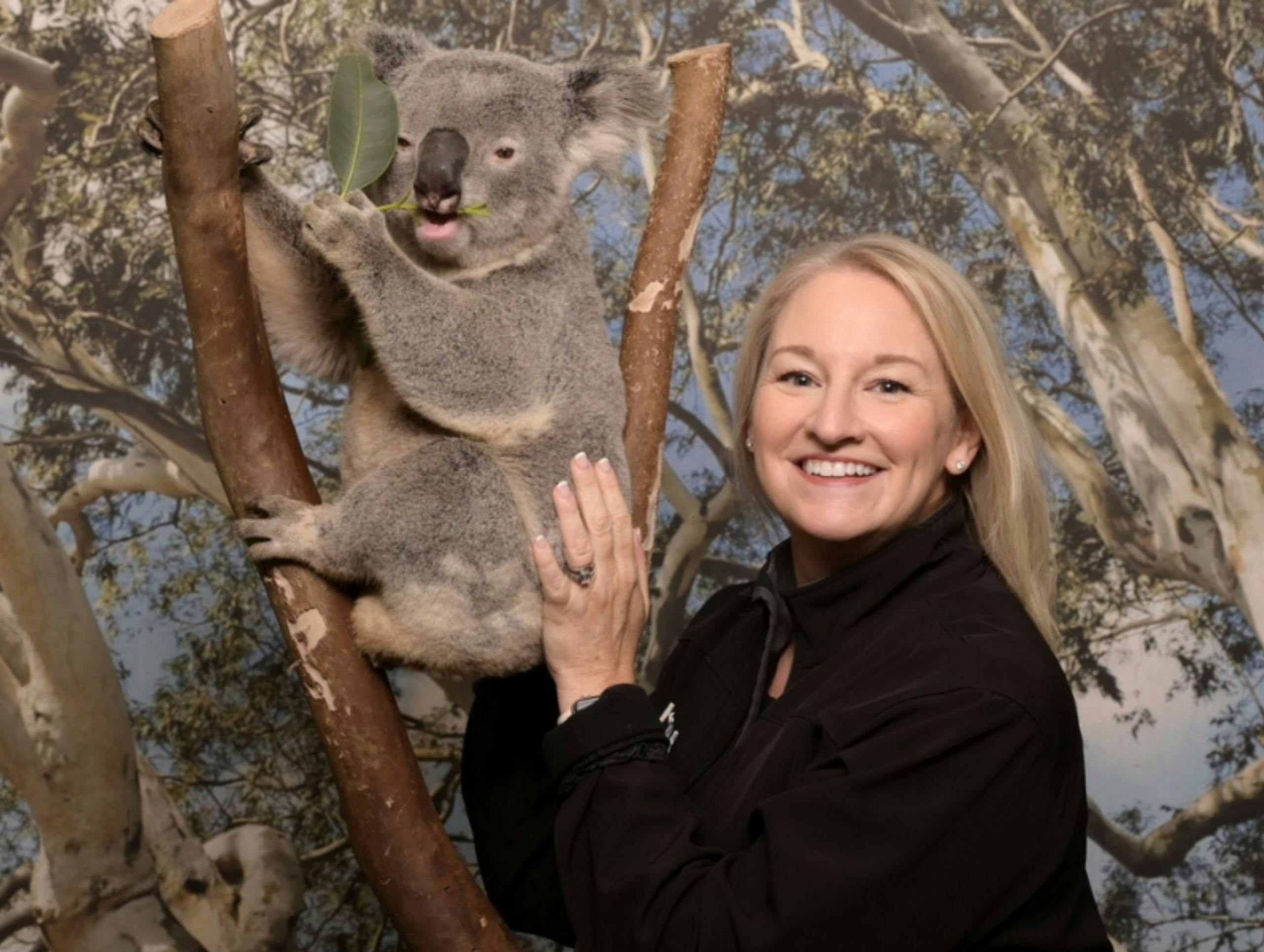 Blue Mountains Tour: Small-Group with Featherdale, Winery & Ferry