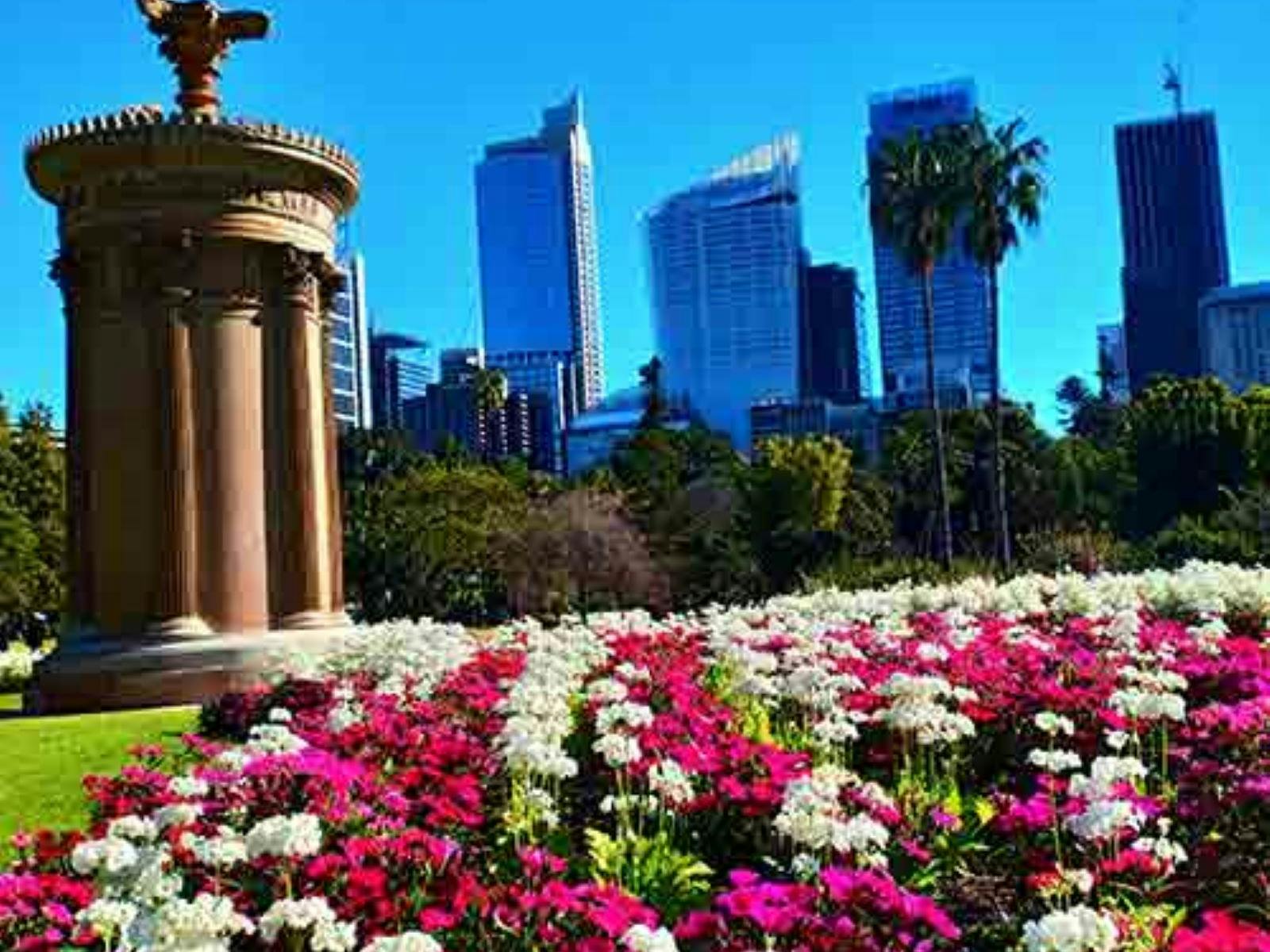 sydney_botanical_gardens