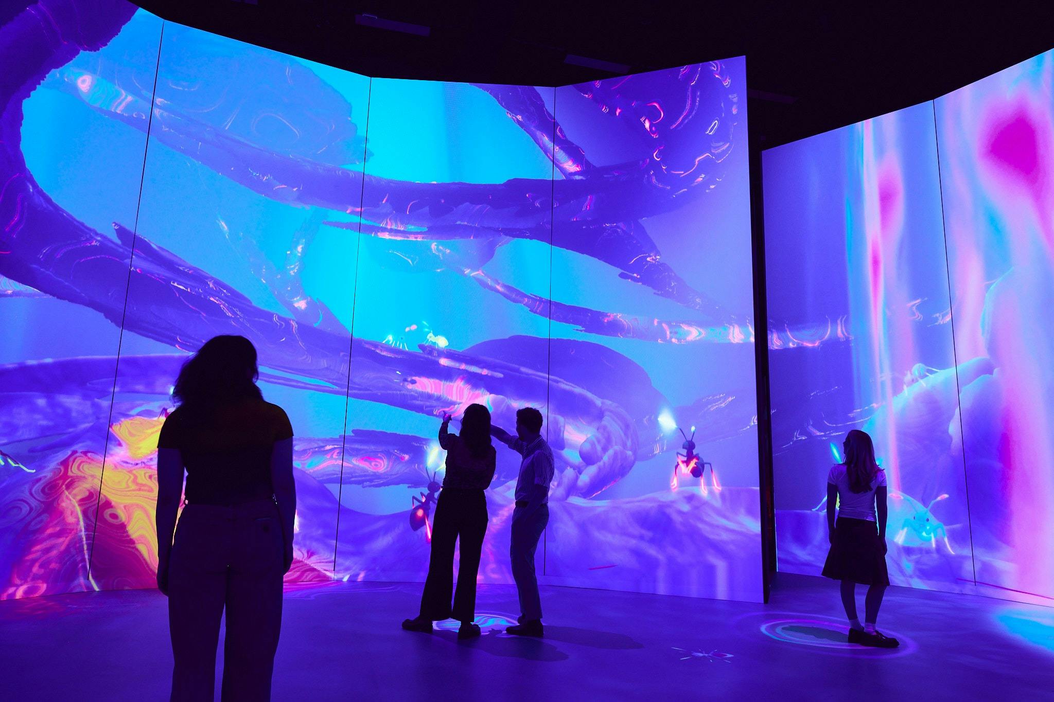 People standing in gallery space of ant pheromone digital screen