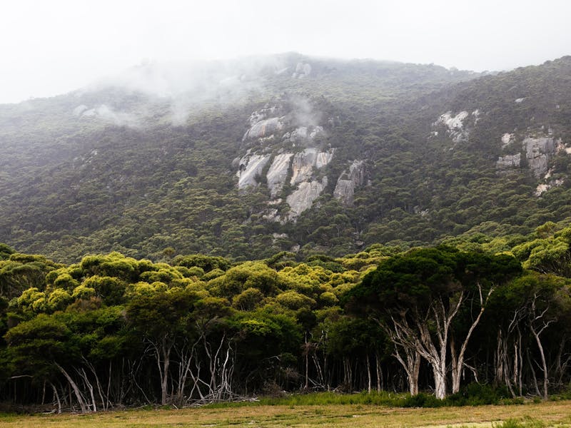Allports Beach Camping Ground