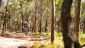 Davies Creek Mountain Bike Park