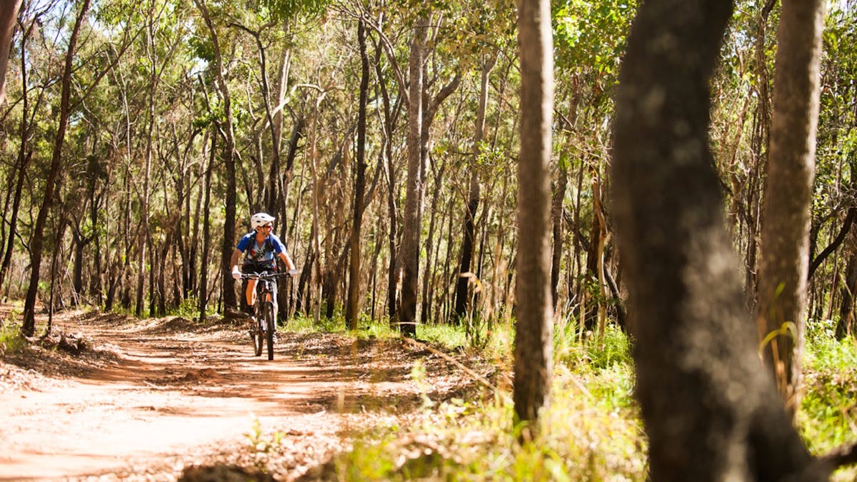 Davies Creek Mountain Bike Park