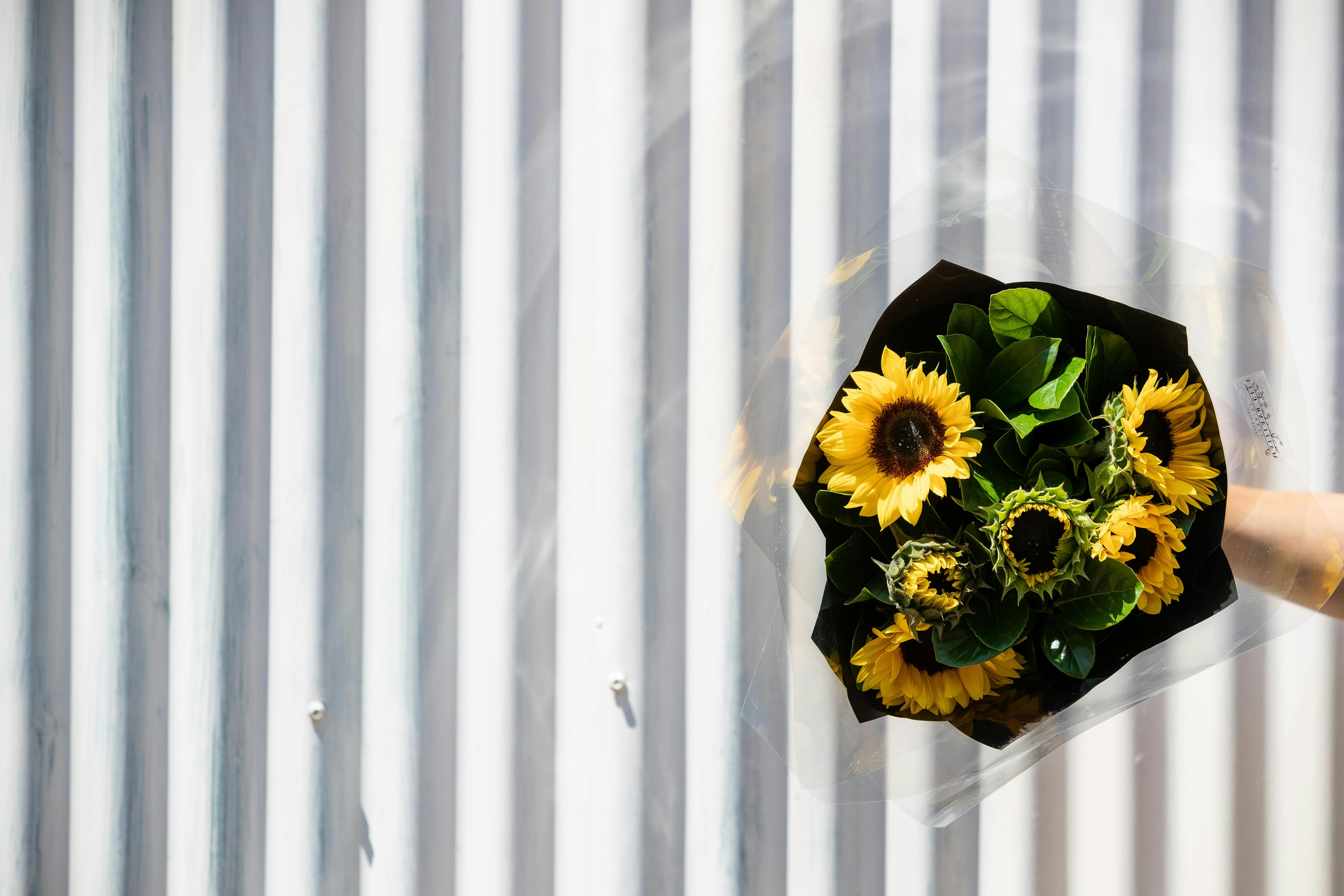 Maitland City Florist