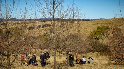 People hunting for truffle