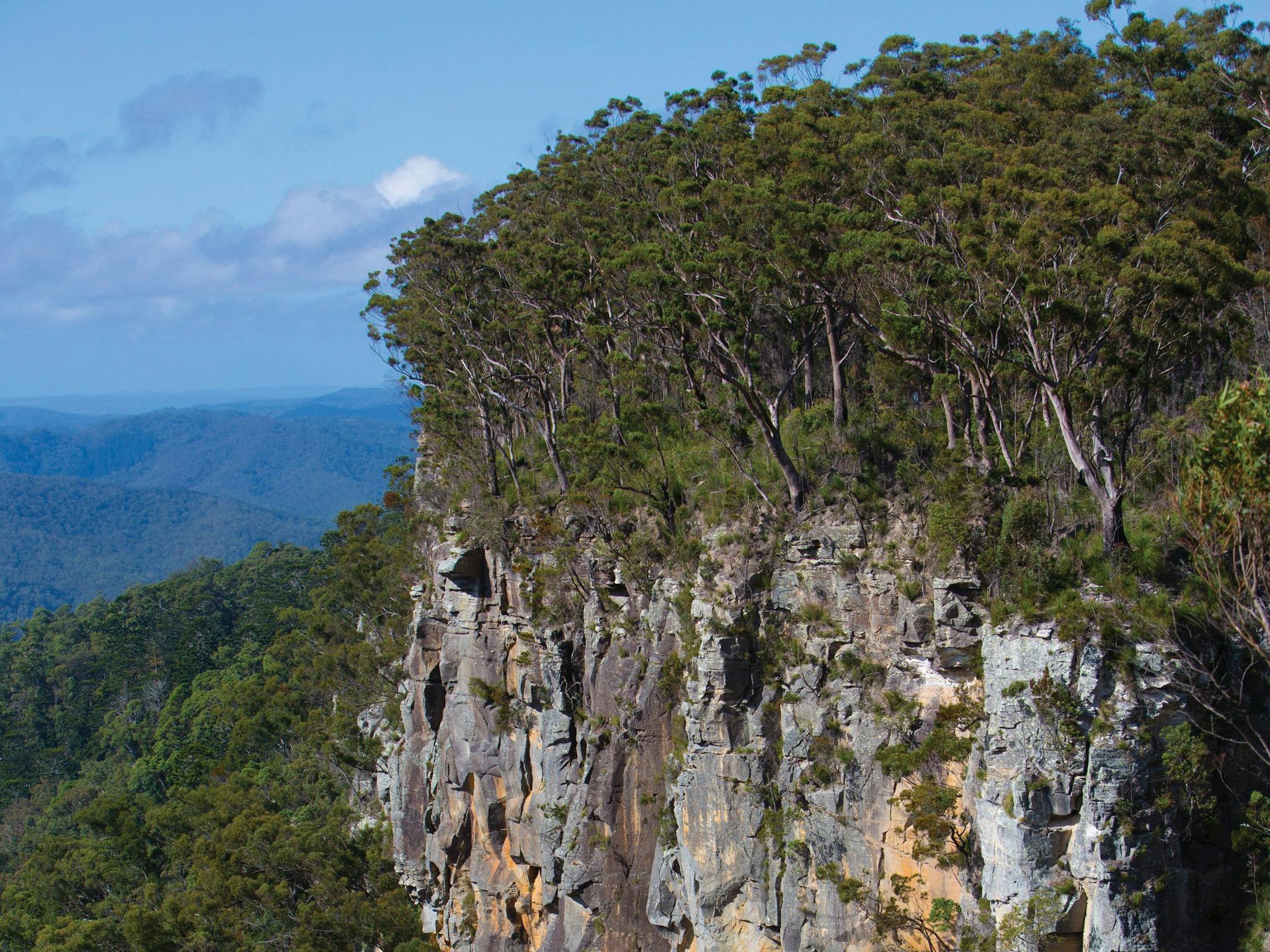 Kroombit Tops National Park
