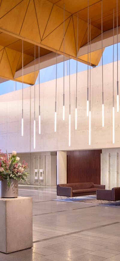 A shot of the brightly lit Gordon Darling Hall, including botanical arrangements and sleek seating.