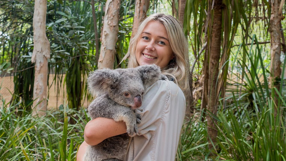 Bungalow Bay Koala Village