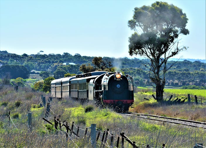 South Coast Wine Train tour - departing from Adelaide