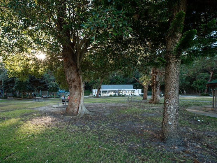 A shaded area with trees, a bench with people sitting and a cafe building  behind them.