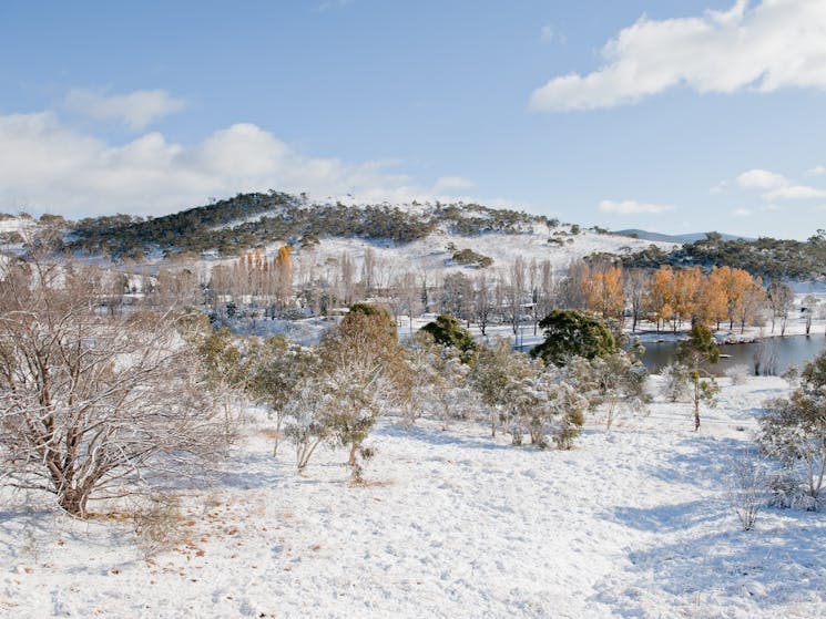 Snow landscape