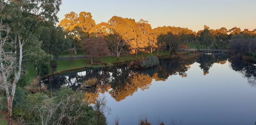 Guided Walk through Bonython Park Tulya Wardli Park 27