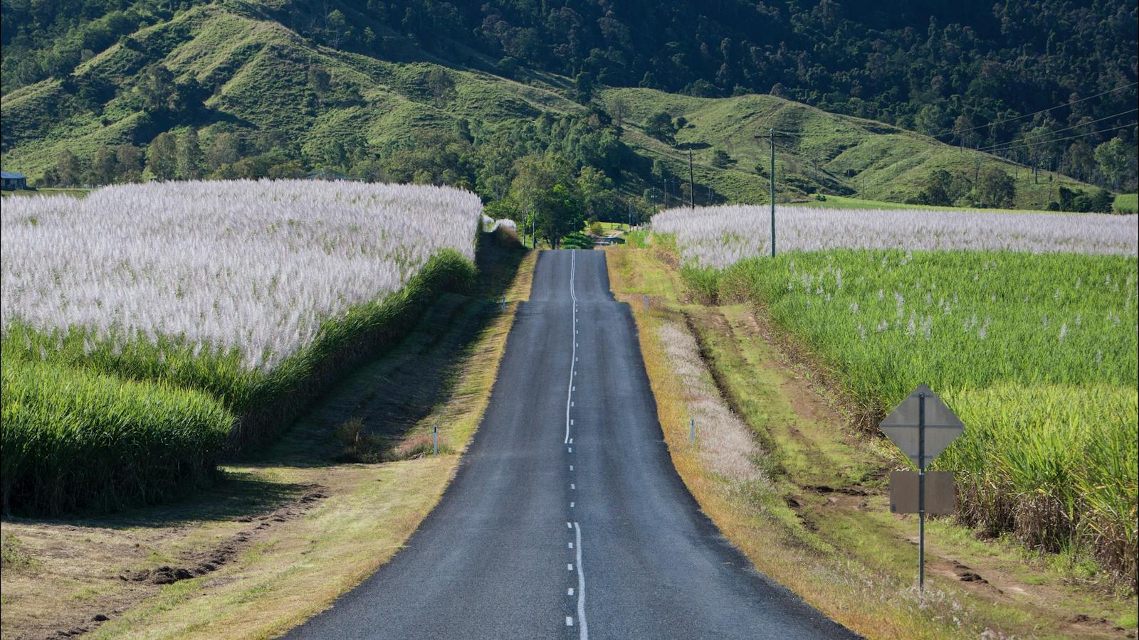The Pioneer Valley boasts rolling green hills and sugar cane fields