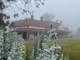 Pichi Richi Railway Station in the background during a misty morning in Quorn