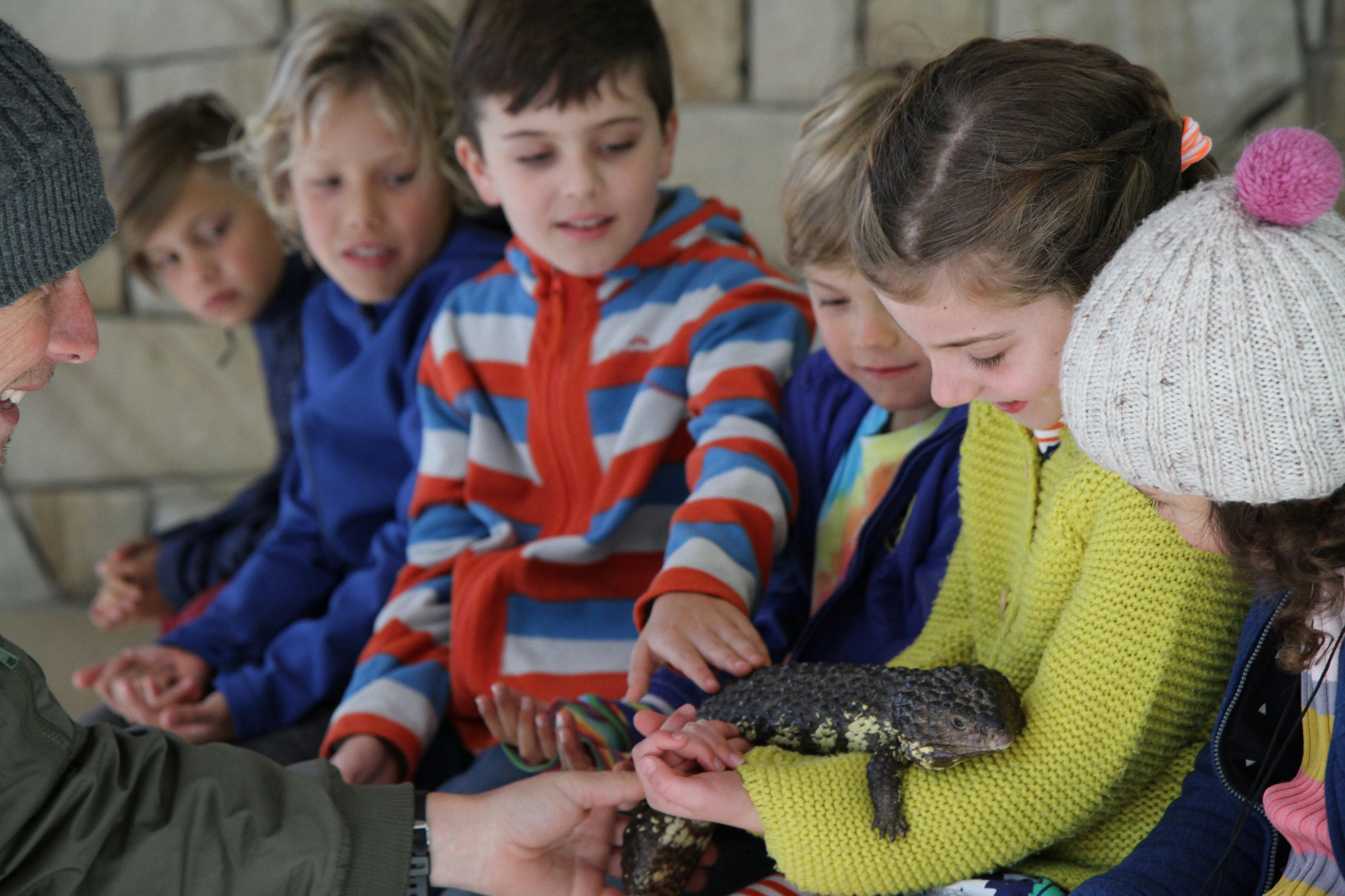 Wildlife Arena - Reptile show