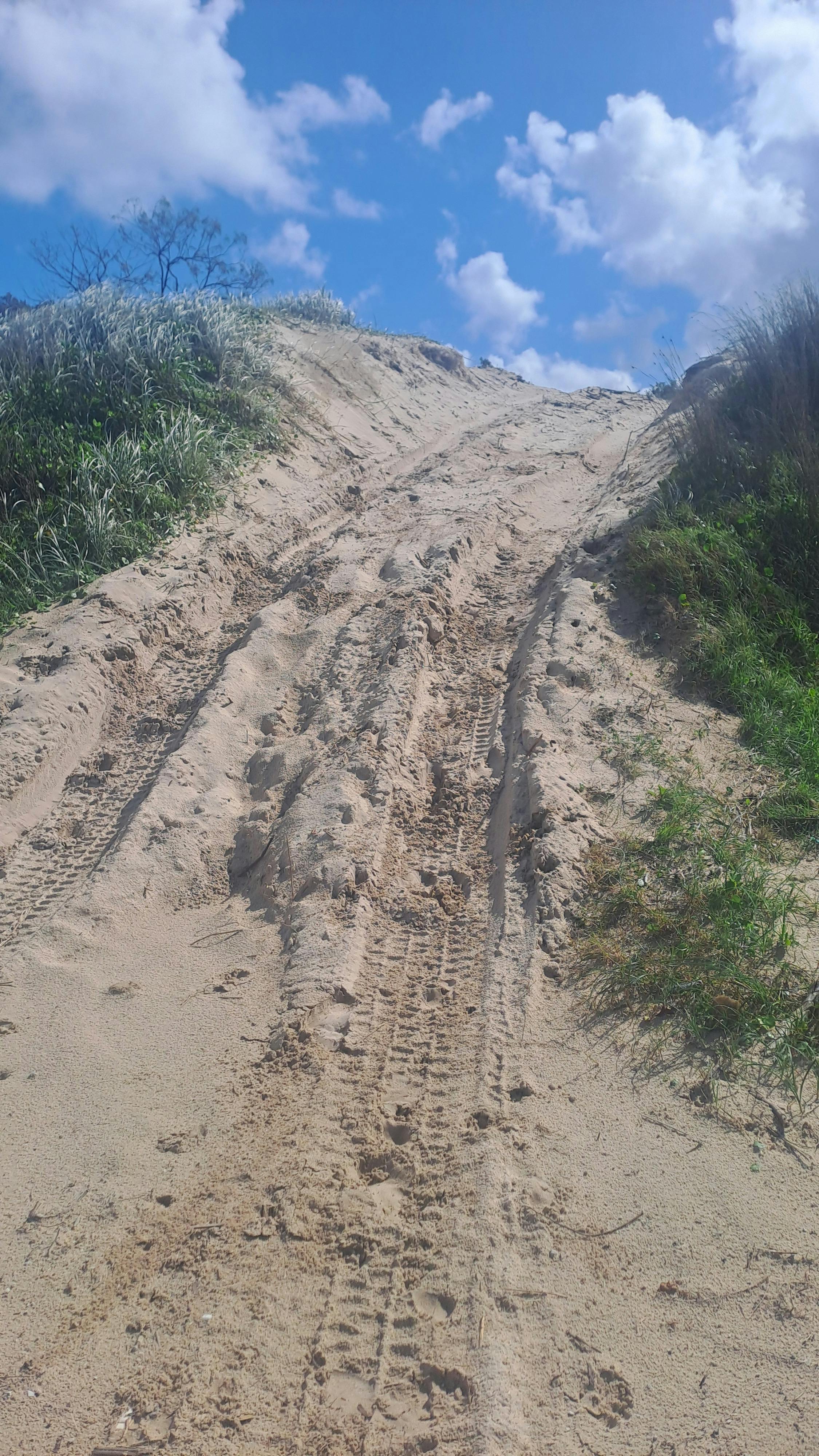 10 Mile Beach and Bungawalbin State forest day tour