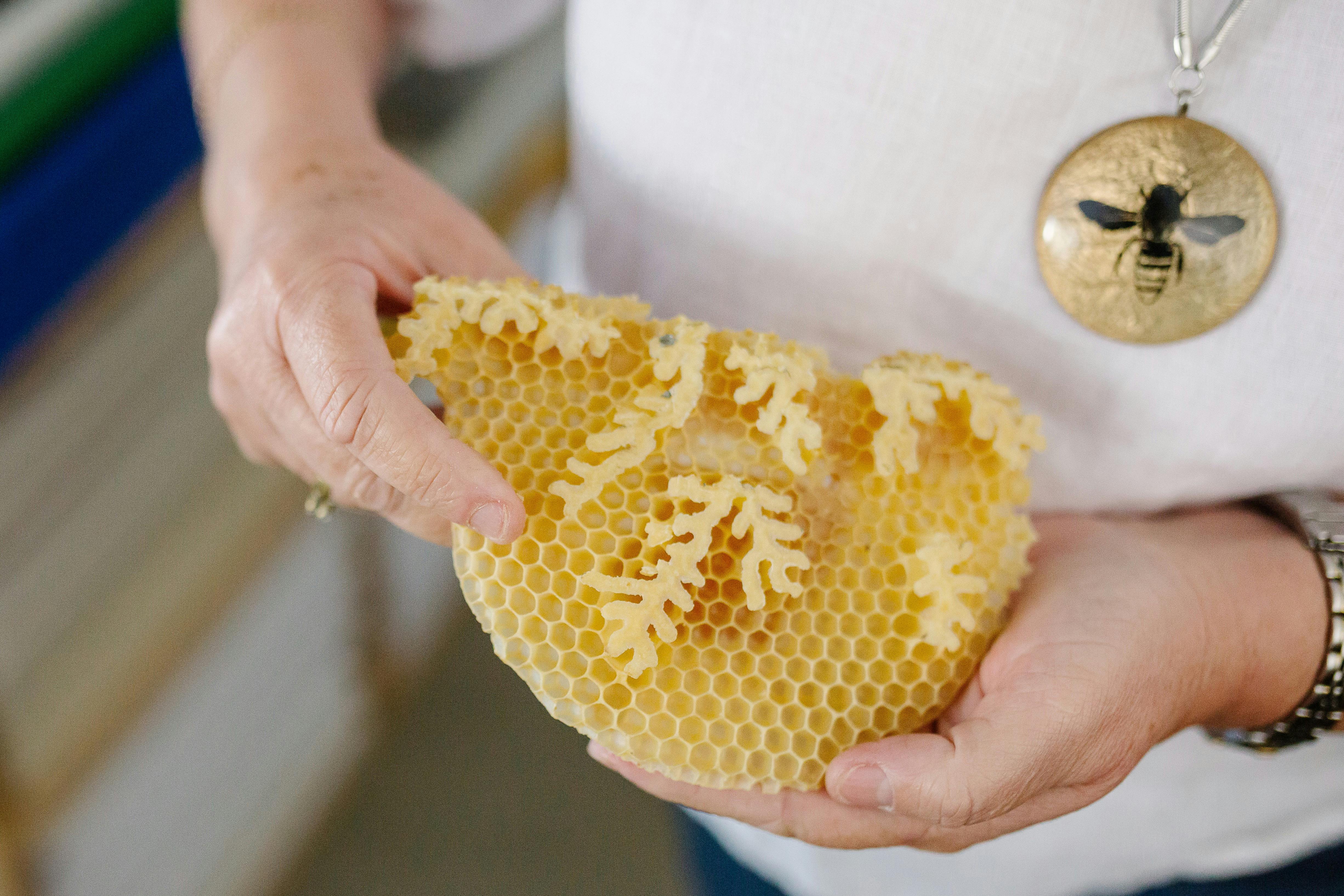 Let's Talk Honey - Free Workshop
