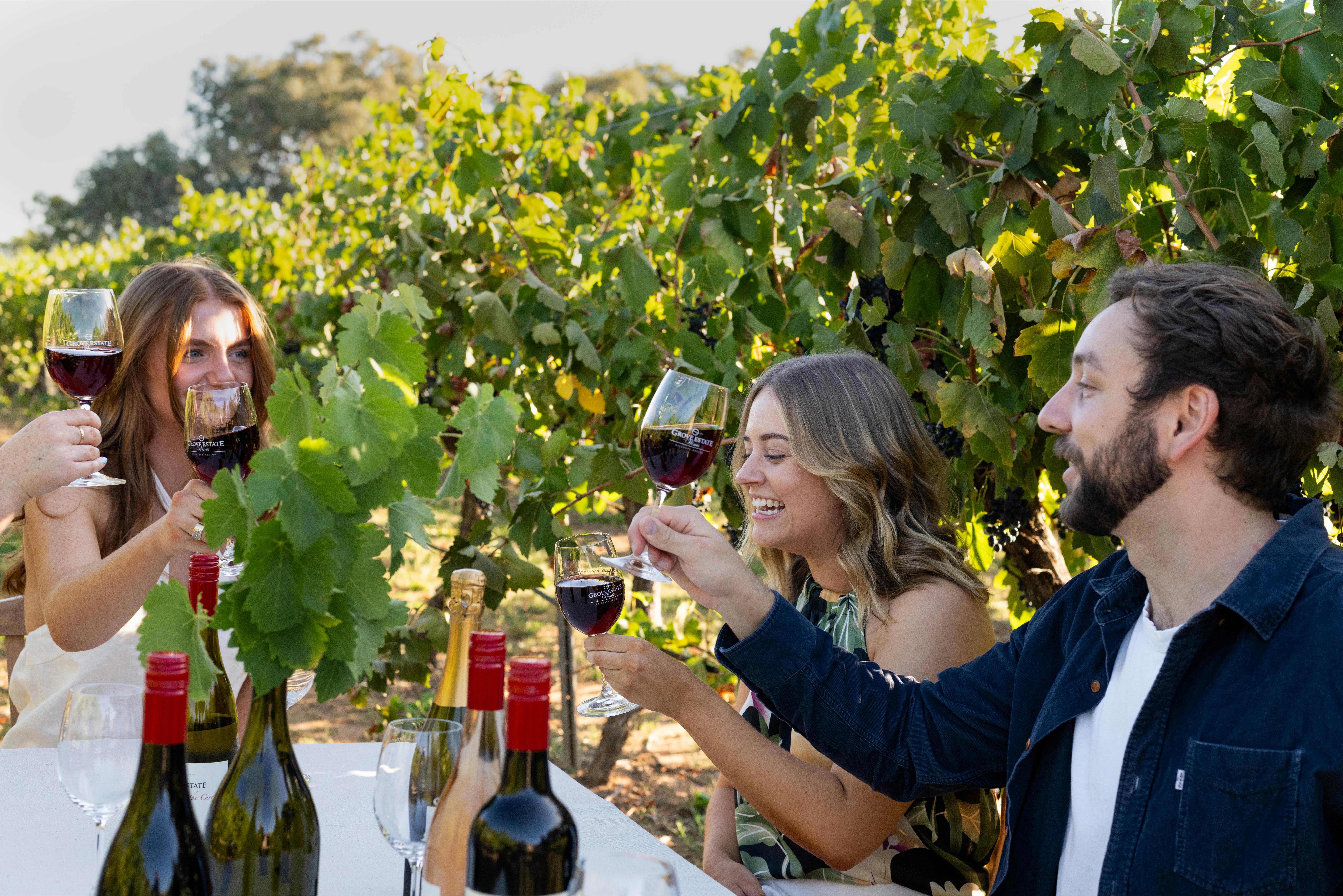 Friends sharing a joyful toast while relaxing in the middle of vineyard rows.