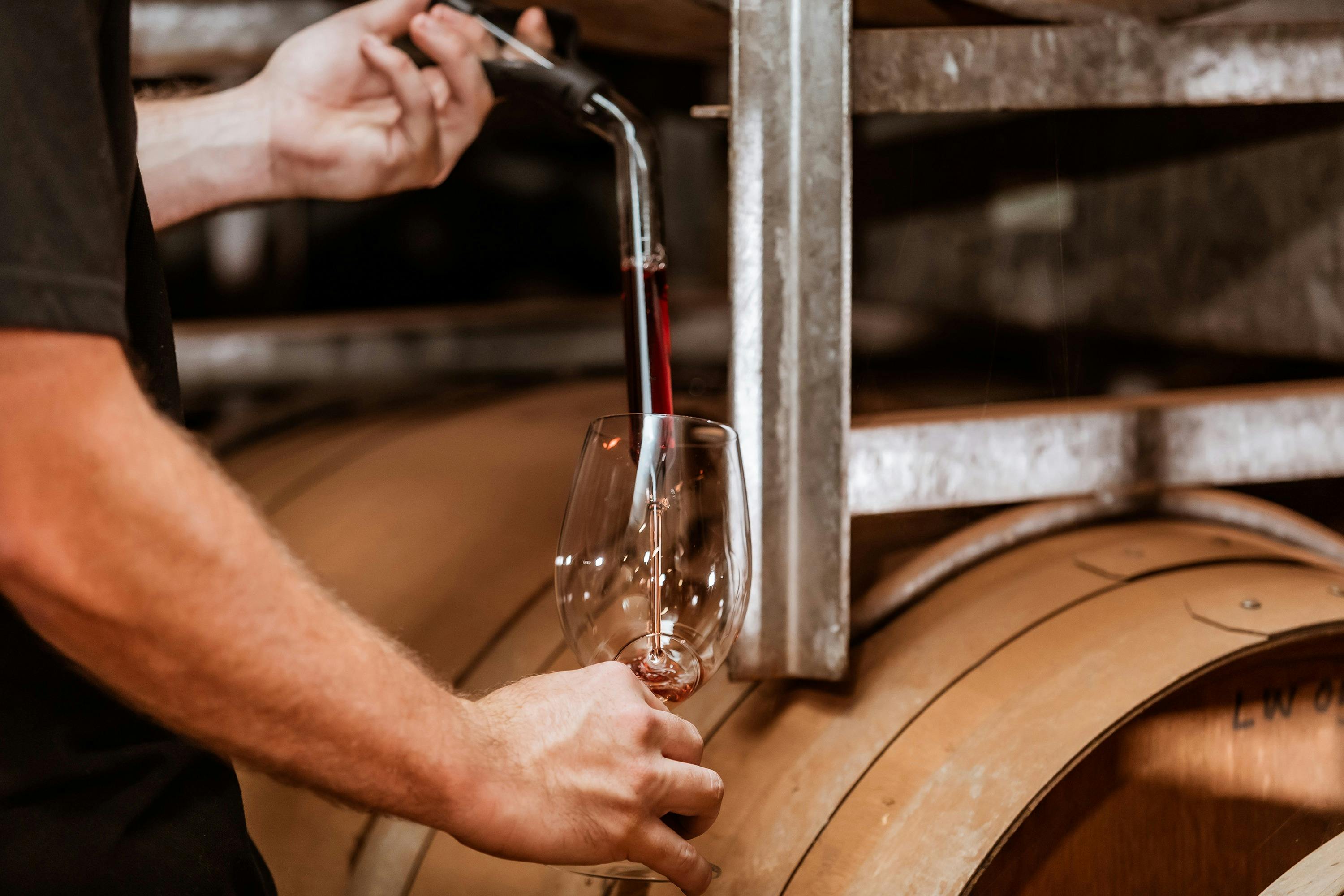 Tasting Swan Valley wine straight from the barrel on a wine tour with Up Close and Local Tours