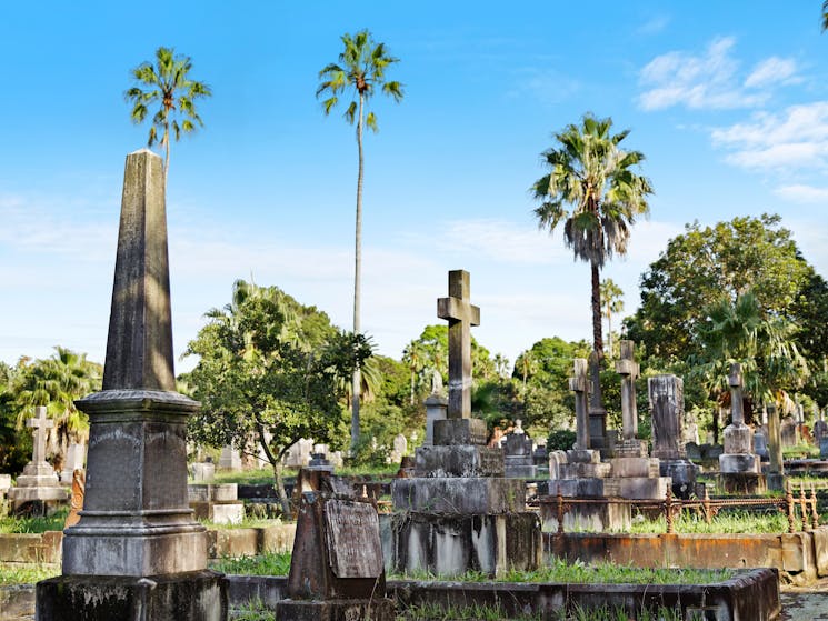 historic graves with monuments and trees in the background