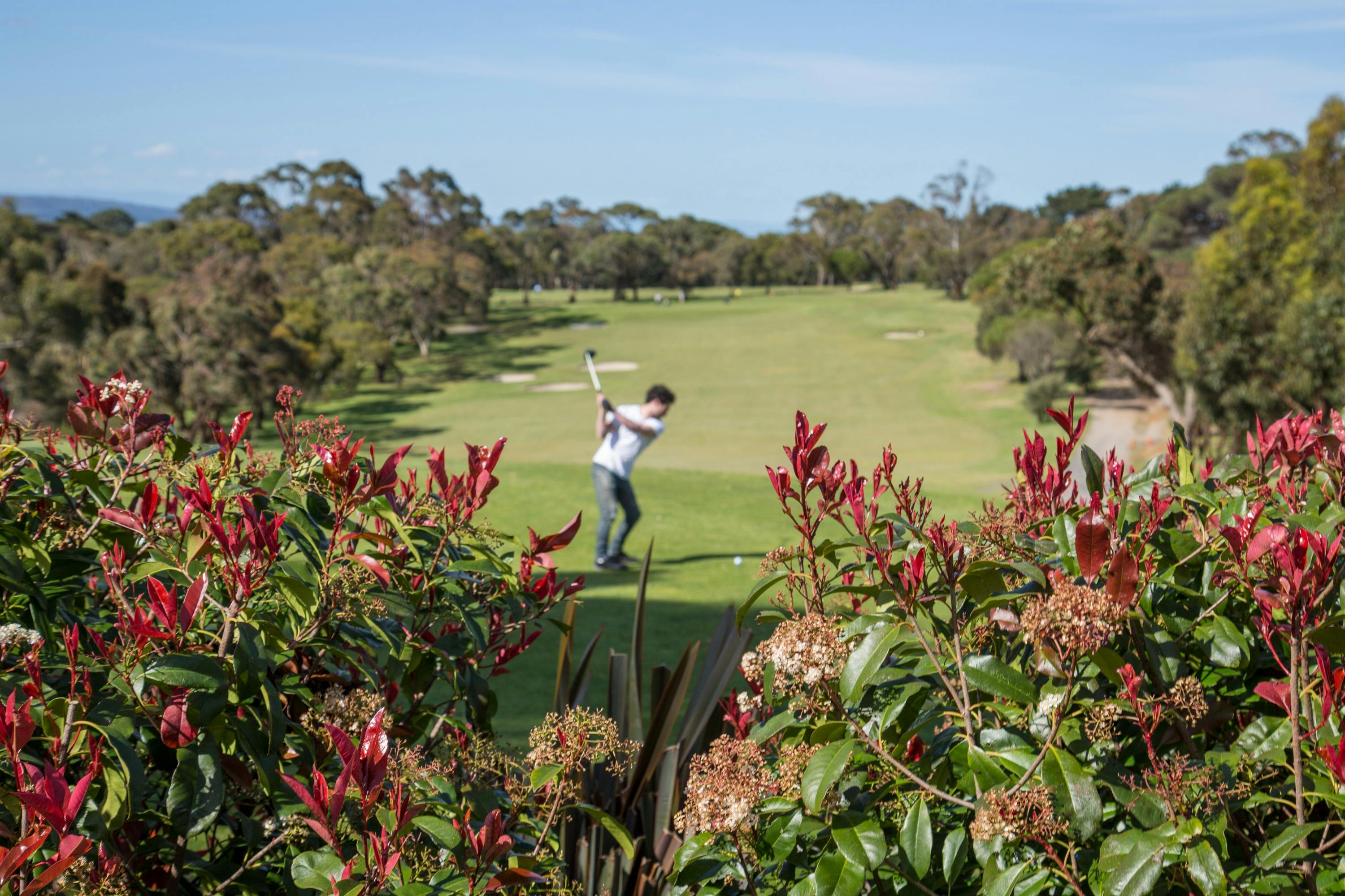 Mt Martha Public Golf Course