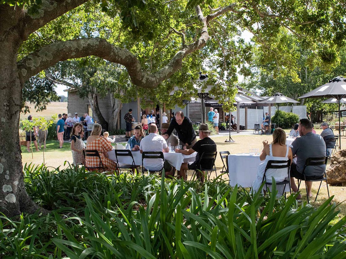People seated outside under the trees