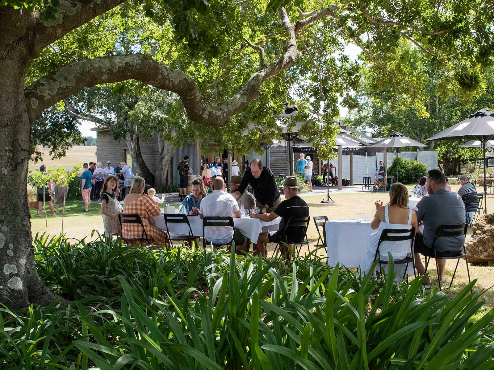 People seated outside under the trees People seated outside under the trees