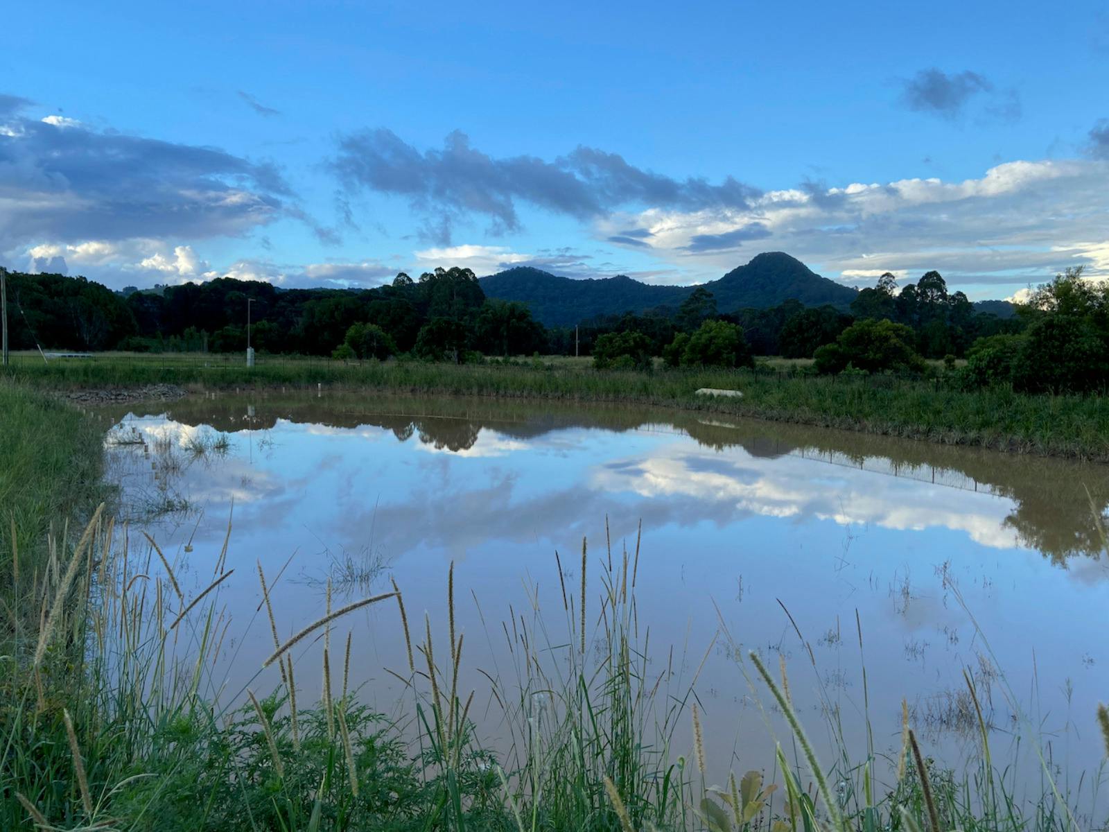 Thranquil setting of Byron Bay invites you to relax and rejuvenate at the Balance Your Jaw workshop