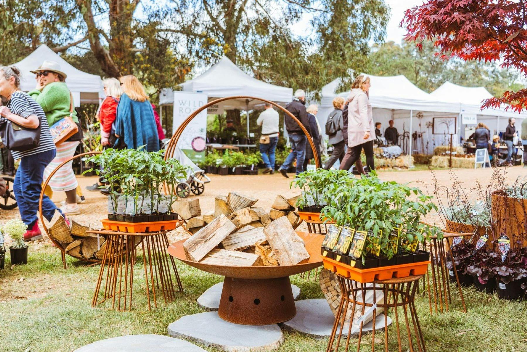 Plant Fair