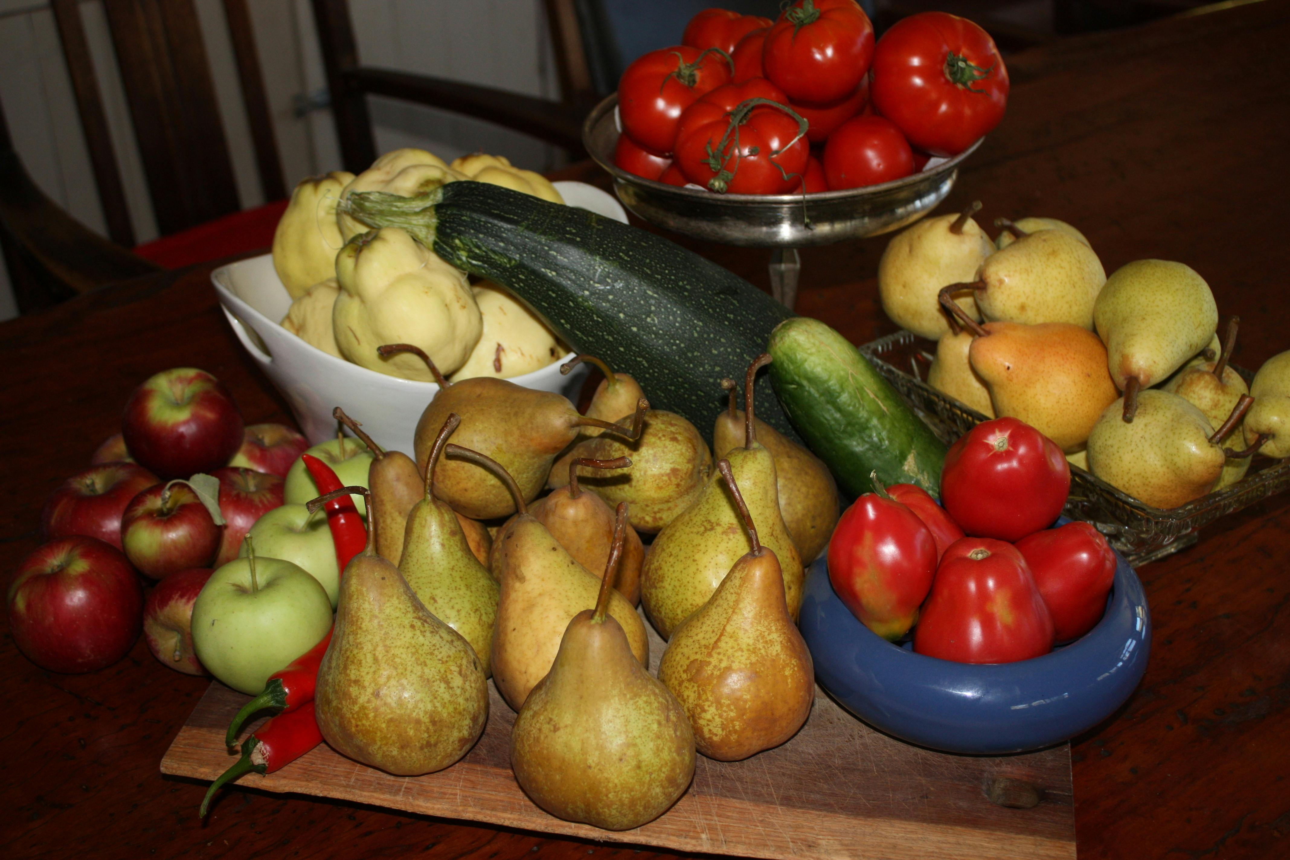 fruit and vegetables in season