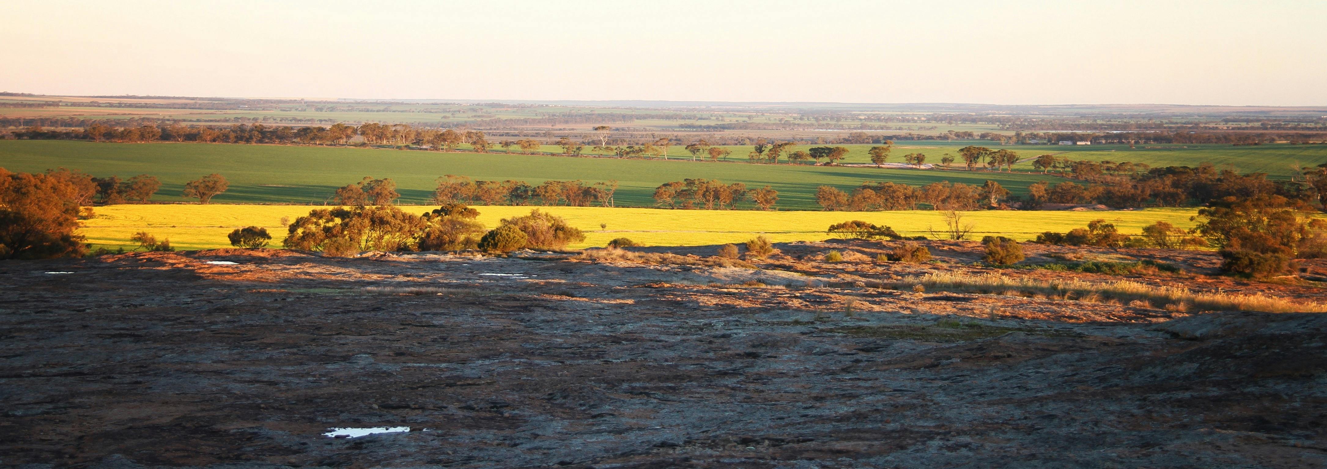 Roe Lookout