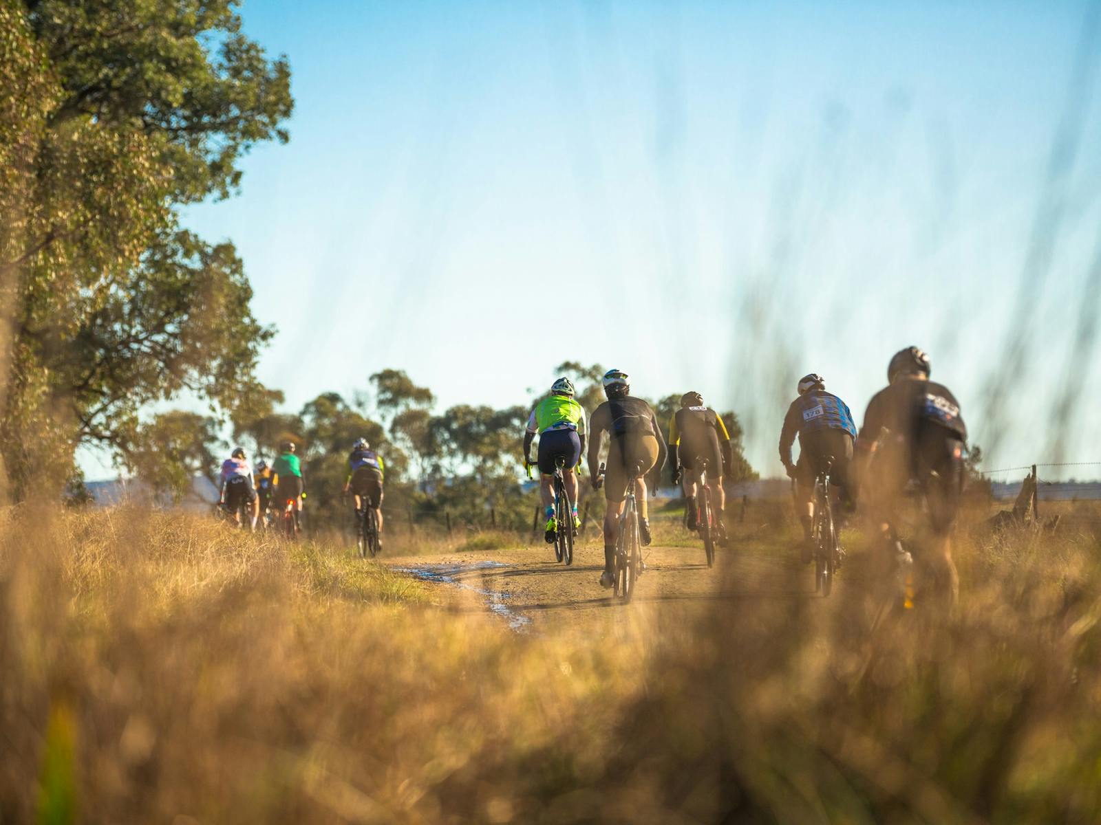 Gravel cycling in Beechworth