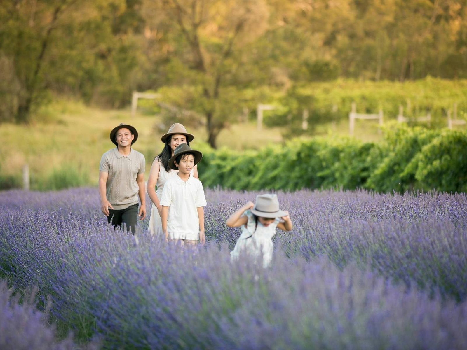 Hunter Valley Lavender Farm