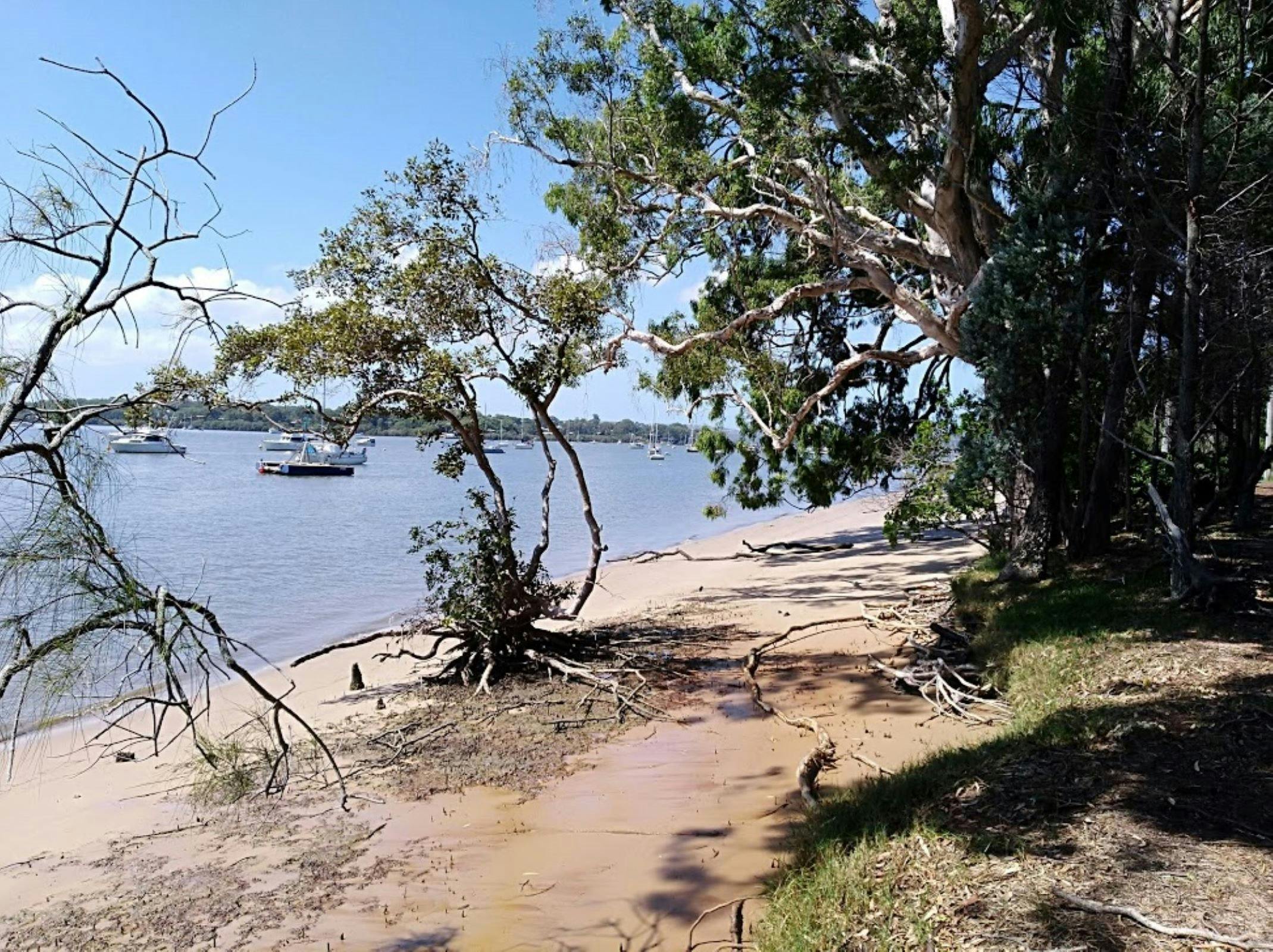 Bay Islands Art and Scenic Tours