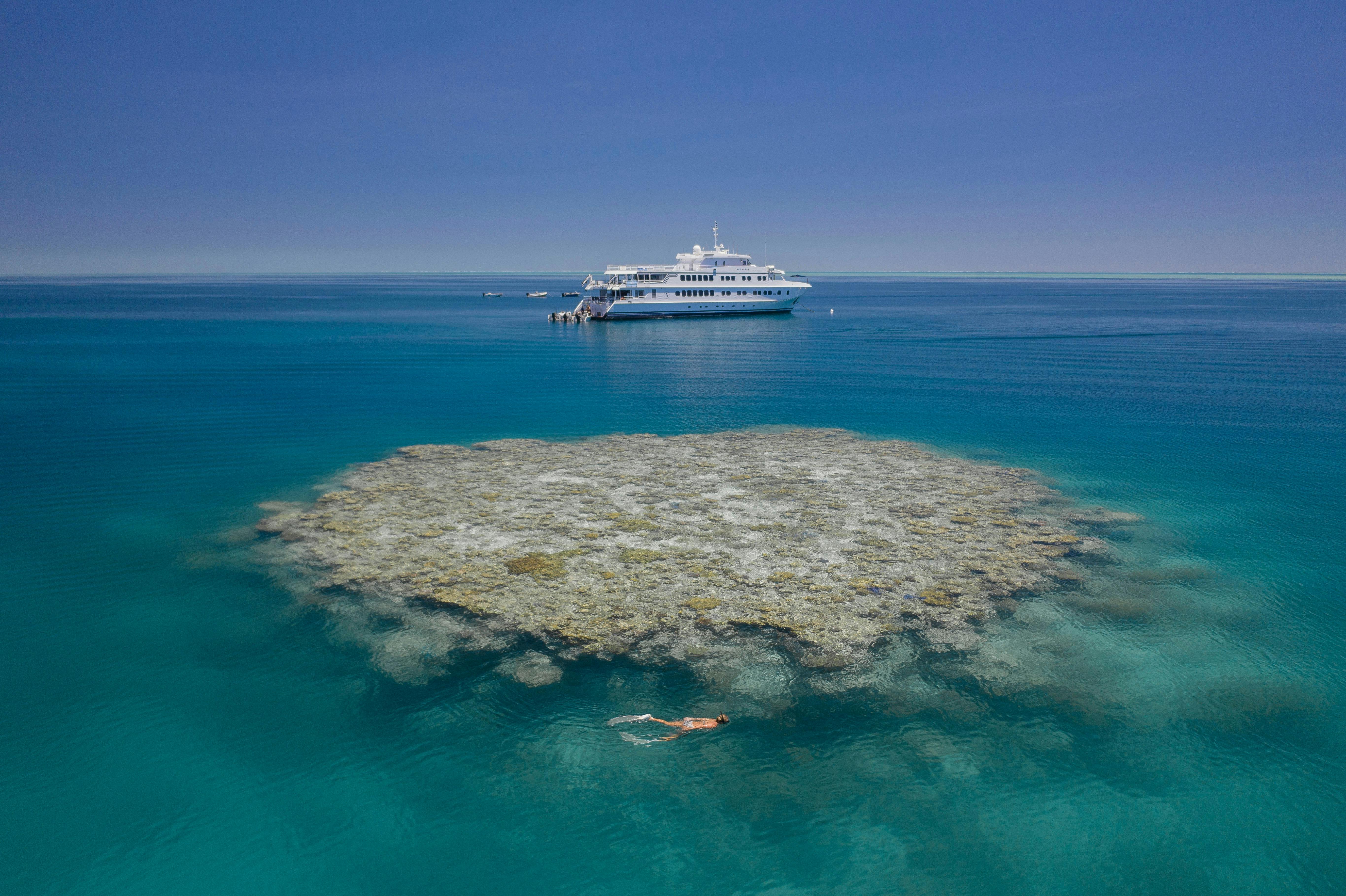 Snorkelling the Rowley Shoals